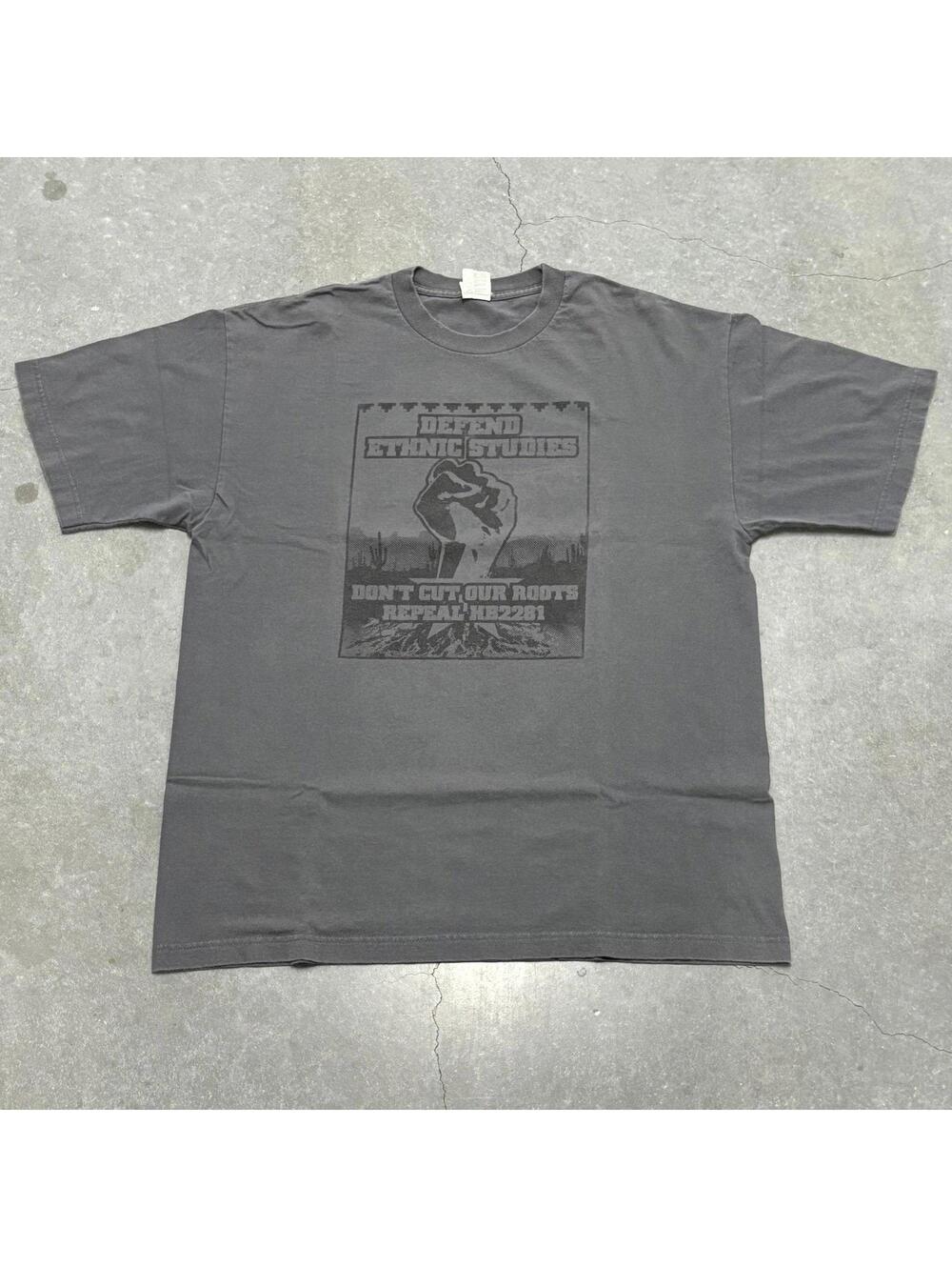 Alstyle Apparel Defend Ethnic Studies T Shirt